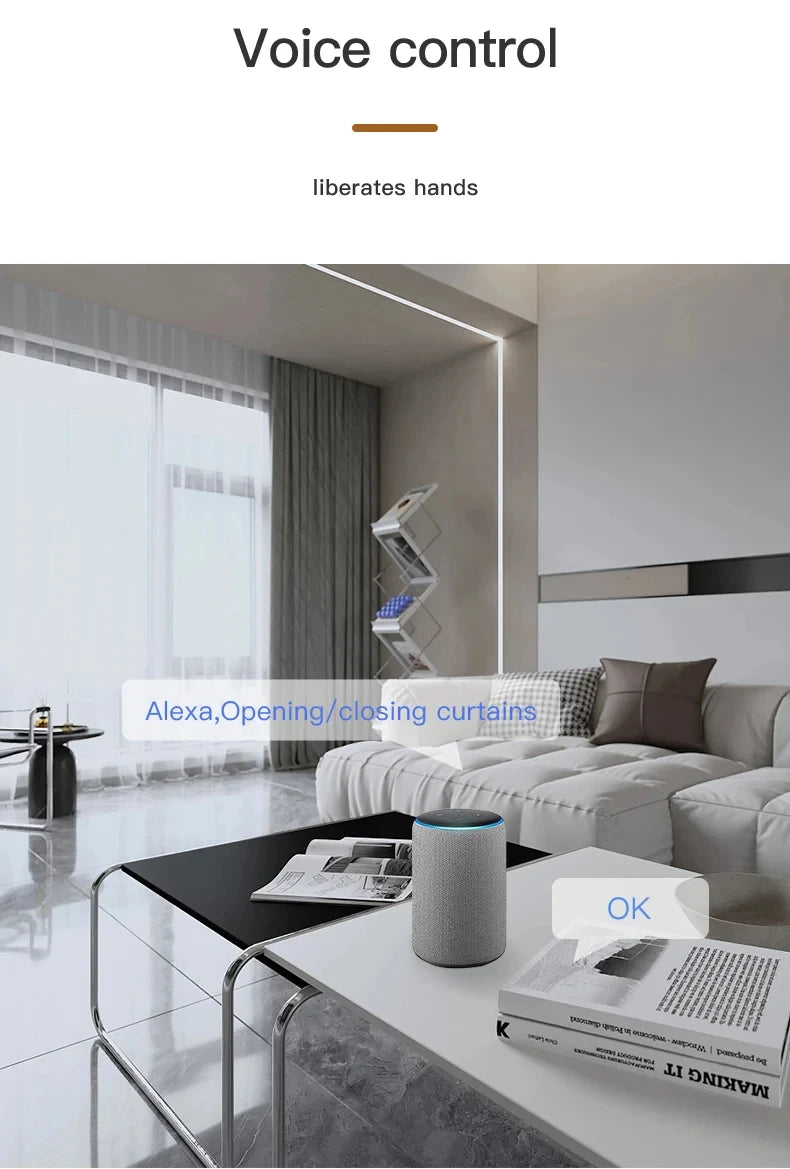 smart curtain opener WIFI/BL Smart Curtain robot Motor Roman Rod Rail Automatic Curtain Electric Curtain robot Remote Control